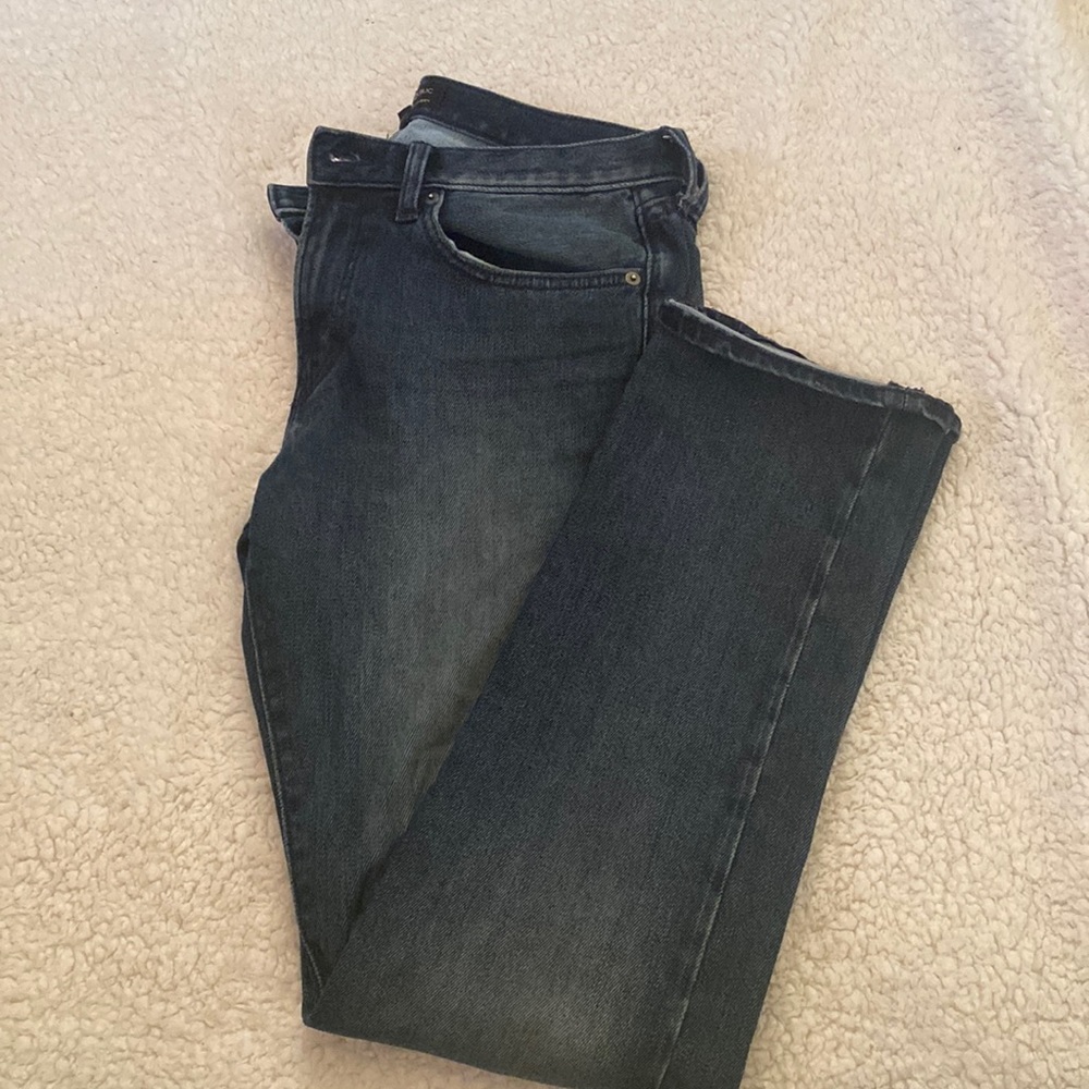 Banana Republic Premium Performance Jean